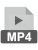 MP4 icon5